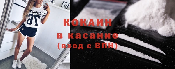 сатива Верея