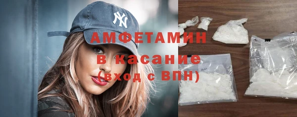 сатива Верея
