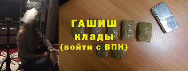 сатива Верея