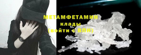 сатива Верея