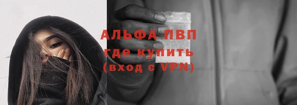 сатива Верея