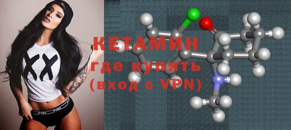 сатива Верея