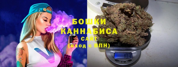 сатива Верея