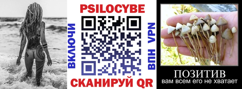 Купить закладки  Весьегонск  Галлюциногенные грибы прущие грибы 